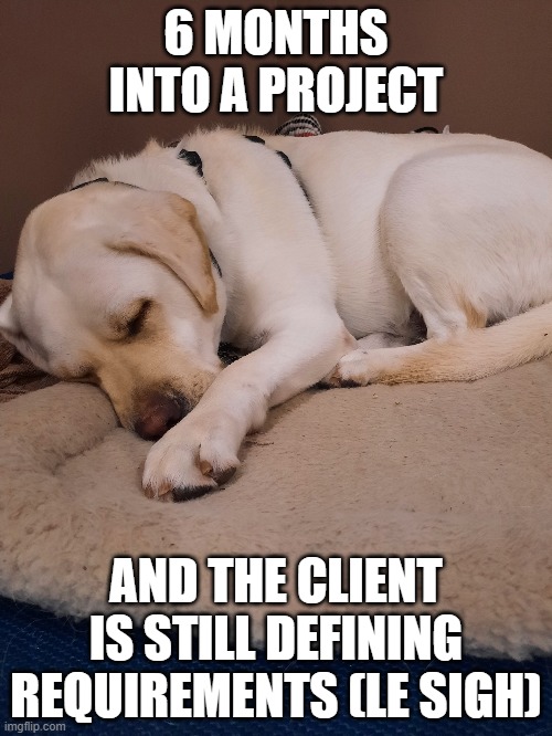  6 MONTHS INTO A PROJECT; AND THE CLIENT IS STILL DEFINING REQUIREMENTS (LE SIGH) | image tagged in labrador | made w/ Imgflip meme maker