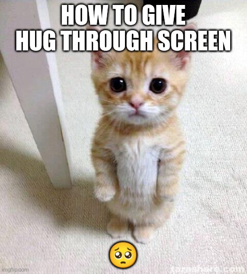 So CUTEE | HOW TO GIVE HUG THROUGH SCREEN; 🥺 | image tagged in memes,cute cat | made w/ Imgflip meme maker