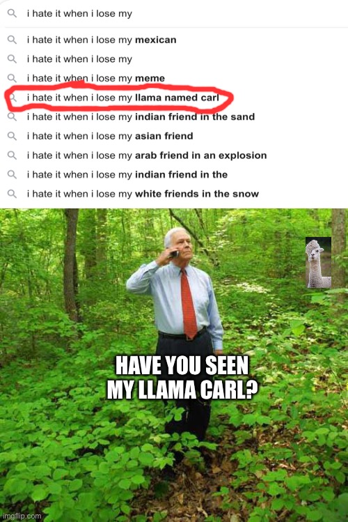 Here we go again | HAVE YOU SEEN MY LLAMA CARL? | image tagged in lost in the woods,llama,carl llama,i hate it when,google,why are you reading this | made w/ Imgflip meme maker