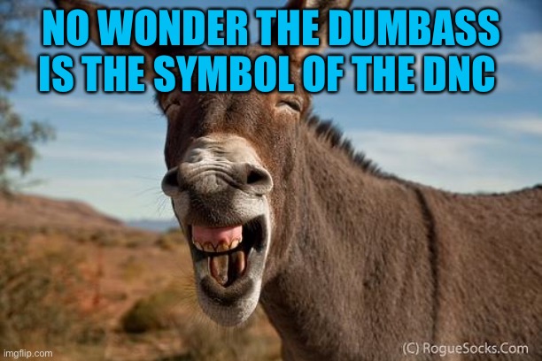 Donkey Jackass Braying | NO WONDER THE DUMBASS IS THE SYMBOL OF THE DNC | image tagged in donkey jackass braying | made w/ Imgflip meme maker