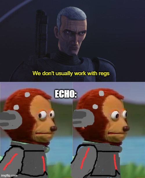 Echo be like |  We don't usually work with regs; ECHO: | image tagged in star wars,bad batch,memes,funny,monkey puppet,funny memes | made w/ Imgflip meme maker