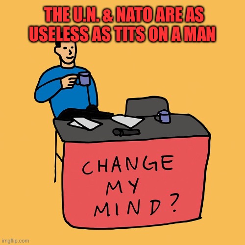 Another Useless Waste | THE U.N. & NATO ARE AS USELESS AS TITS ON A MAN | image tagged in change my mind,useless,united nations | made w/ Imgflip meme maker