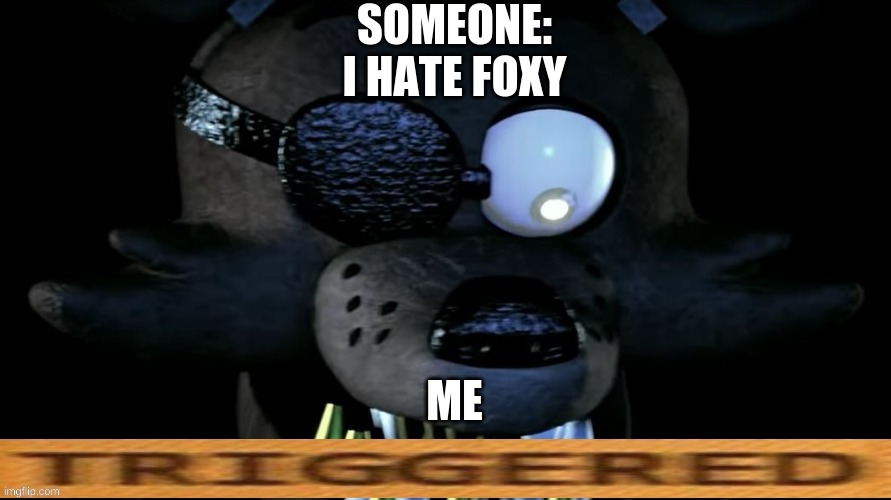 I get mad when someone says they hate foxy, really | SOMEONE:
I HATE FOXY; ME | image tagged in triggered foxy 2 | made w/ Imgflip meme maker