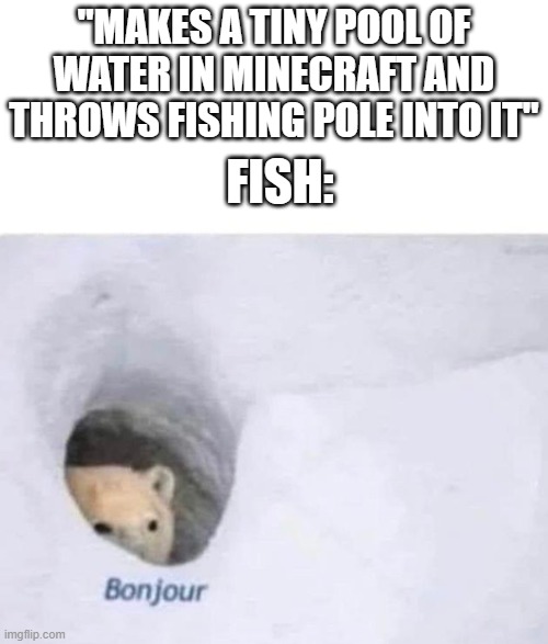Bonjour | "MAKES A TINY POOL OF WATER IN MINECRAFT AND THROWS FISHING POLE INTO IT"; FISH: | image tagged in bonjour | made w/ Imgflip meme maker