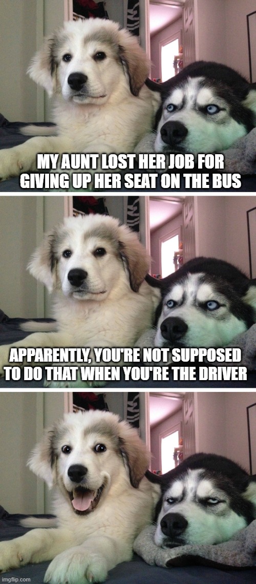 Bad pun dogs | MY AUNT LOST HER JOB FOR GIVING UP HER SEAT ON THE BUS; APPARENTLY, YOU'RE NOT SUPPOSED TO DO THAT WHEN YOU'RE THE DRIVER | image tagged in bad pun dogs | made w/ Imgflip meme maker