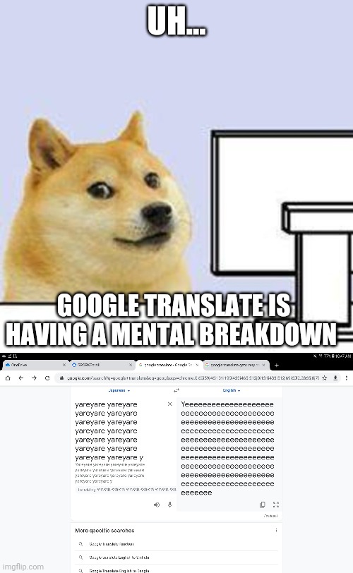 UH... GOOGLE TRANSLATE IS HAVING A MENTAL BREAKDOWN | image tagged in doge computer | made w/ Imgflip meme maker
