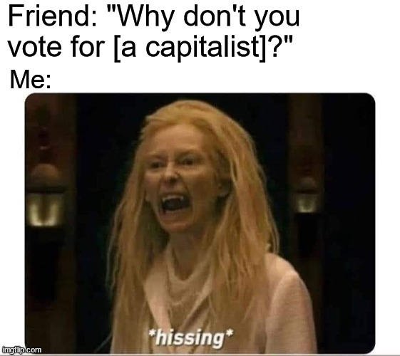 hissing | Friend: "Why don't you vote for [a capitalist]?"; Me: | image tagged in hissing,capitalism | made w/ Imgflip meme maker
