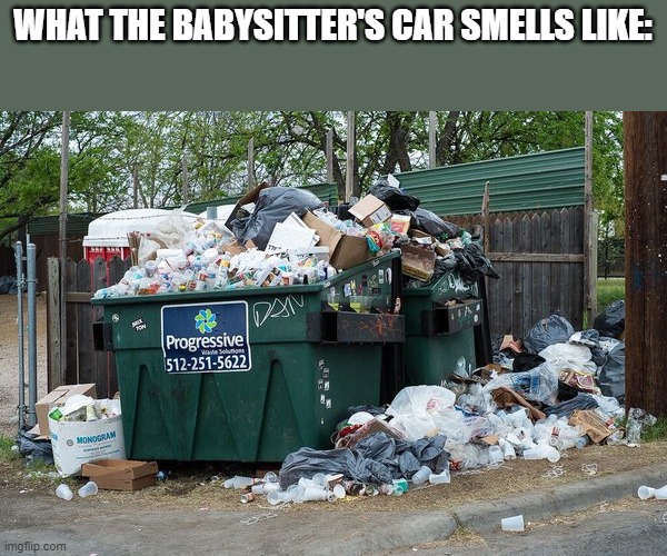 garbage  |  WHAT THE BABYSITTER'S CAR SMELLS LIKE: | image tagged in garbage,babysitter,car,bad smell | made w/ Imgflip meme maker