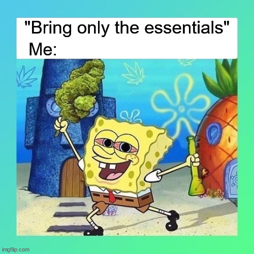 Spongebob stoner | "Bring only the essentials"; Me: | image tagged in spongebob stoner,weed,legalize weed | made w/ Imgflip meme maker