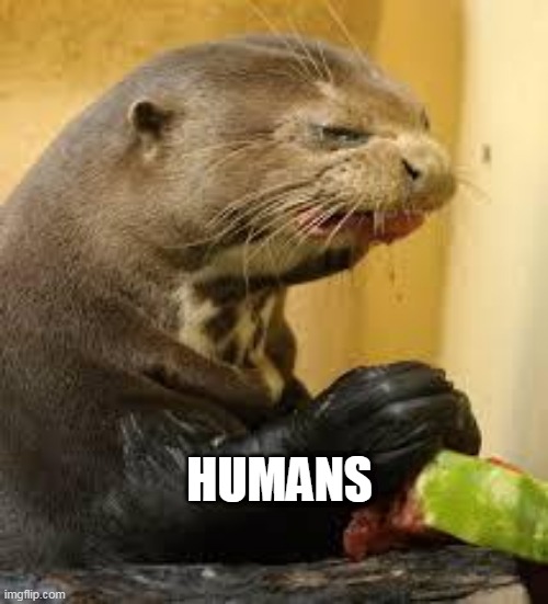 Disgusted Otter |  HUMANS | image tagged in disgusted otter | made w/ Imgflip meme maker