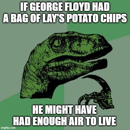 Philosoraptor Meme | IF GEORGE FLOYD HAD A BAG OF LAY'S POTATO CHIPS; HE MIGHT HAVE HAD ENOUGH AIR TO LIVE | image tagged in memes,philosoraptor | made w/ Imgflip meme maker