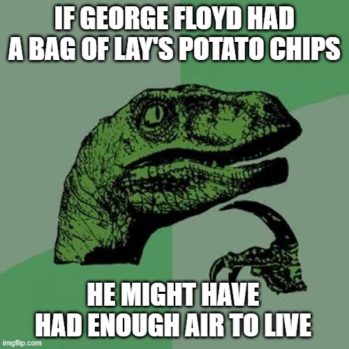 Philosoraptor | IF GEORGE FLOYD HAD A BAG OF LAY'S POTATO CHIPS; HE MIGHT HAVE HAD ENOUGH AIR TO LIVE | image tagged in memes,philosoraptor | made w/ Imgflip meme maker