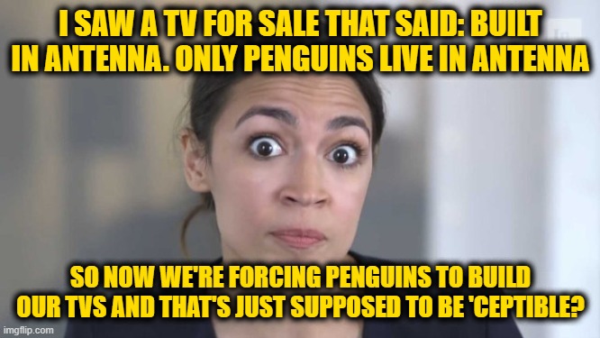 Crazy Alexandria Ocasio-Cortez | I SAW A TV FOR SALE THAT SAID: BUILT IN ANTENNA. ONLY PENGUINS LIVE IN ANTENNA; SO NOW WE'RE FORCING PENGUINS TO BUILD OUR TVS AND THAT'S JUST SUPPOSED TO BE 'CEPTIBLE? | image tagged in crazy alexandria ocasio-cortez | made w/ Imgflip meme maker