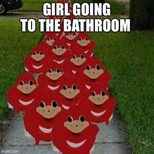 Notice there is no s |  GIRL GOING TO THE BATHROOM | image tagged in ugandan knuckles army | made w/ Imgflip meme maker