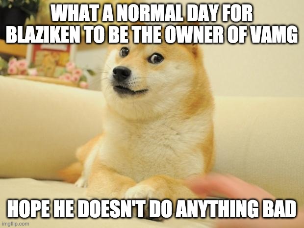 Doge 2 | WHAT A NORMAL DAY FOR BLAZIKEN TO BE THE OWNER OF VAMG; HOPE HE DOESN'T DO ANYTHING BAD | image tagged in memes,doge 2 | made w/ Imgflip meme maker