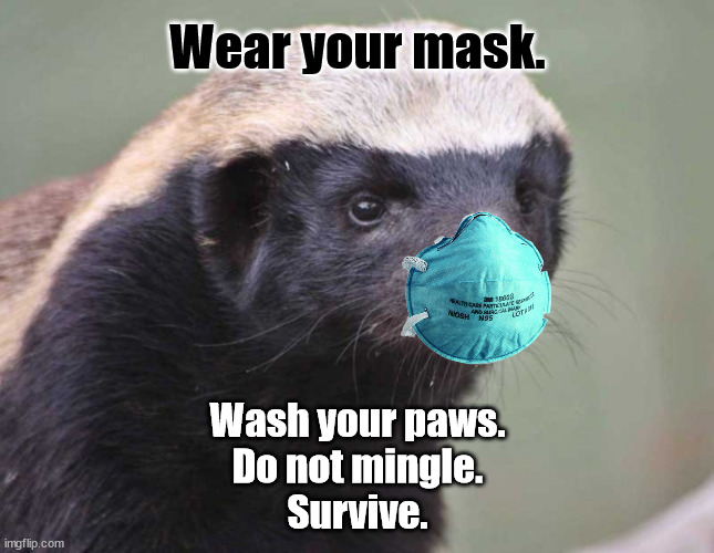 Honey Badger | Wear your mask. Wash your paws.
Do not mingle.
Survive. | image tagged in honey badger,mask,covid-22 | made w/ Imgflip meme maker