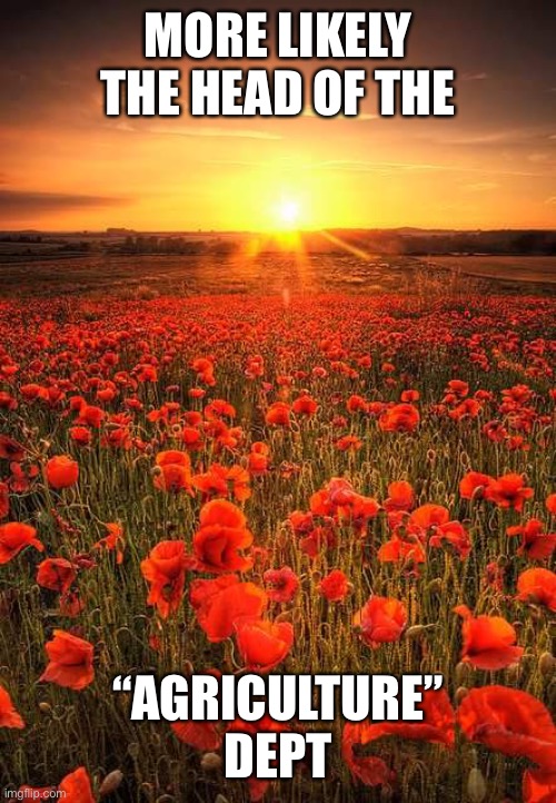 Poppy Field Lest We Forget | MORE LIKELY THE HEAD OF THE “AGRICULTURE” DEPT | image tagged in poppy field lest we forget | made w/ Imgflip meme maker