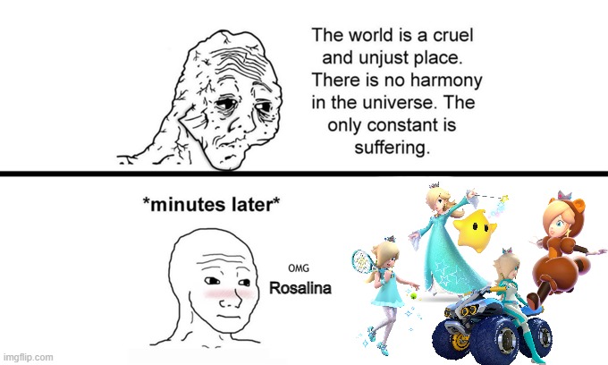 The World is a Cruel and Unjust Place | Rosalina | image tagged in the world is a cruel and unjust place | made w/ Imgflip meme maker