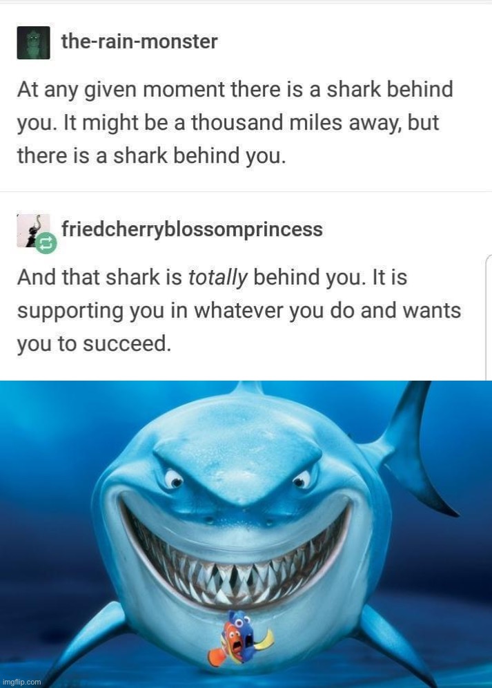 image tagged in shark is behind you,hungry shark nemo s | made w/ Imgflip meme maker