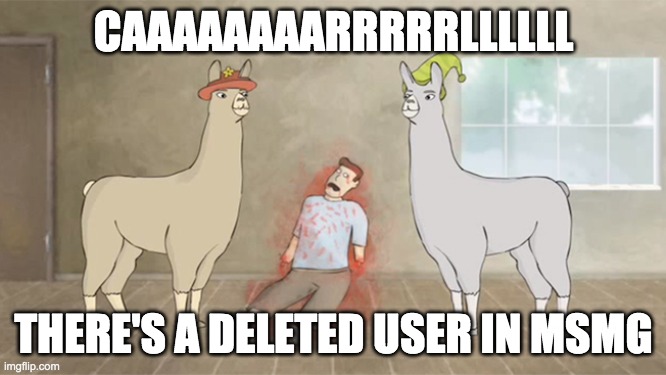 Llamas with hats dead guy | CAAAAAAAARRRRRLLLLLL; THERE'S A DELETED USER IN MSMG | image tagged in llamas with hats dead guy | made w/ Imgflip meme maker
