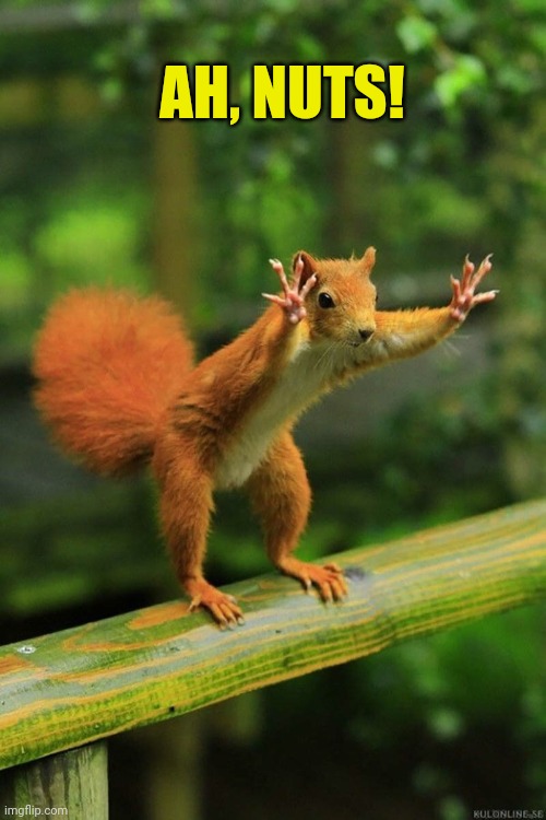 Wait a Minute Squirrel | AH, NUTS! | image tagged in wait a minute squirrel | made w/ Imgflip meme maker