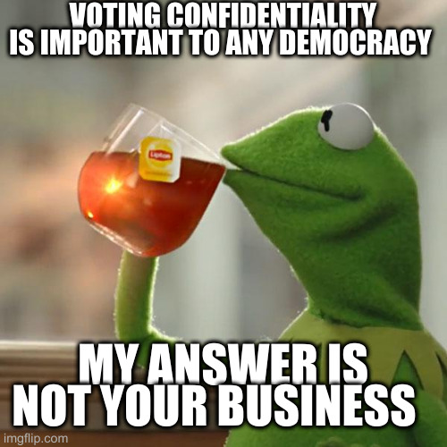 avoiding the pigeonhole | VOTING CONFIDENTIALITY IS IMPORTANT TO ANY DEMOCRACY; MY ANSWER IS NOT YOUR BUSINESS | image tagged in memes,but that's none of my business,kermit the frog | made w/ Imgflip meme maker
