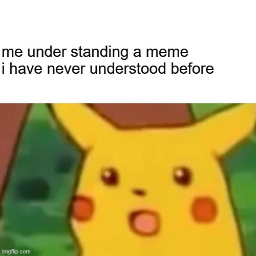 Surprised Pikachu Meme | me under standing a meme i have never understood before | image tagged in memes,surprised pikachu | made w/ Imgflip meme maker