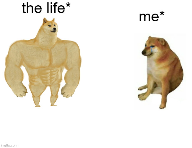 Buff Doge vs. Cheems Meme | the life*; me* | image tagged in memes,buff doge vs cheems | made w/ Imgflip meme maker