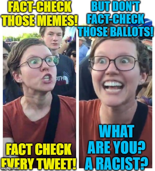 Memes are dangerous false information, but elections are now absolutely safe and secure! | FACT-CHECK THOSE MEMES! BUT DON'T FACT-CHECK THOSE BALLOTS! WHAT ARE YOU? A RACIST? FACT CHECK EVERY TWEET! | image tagged in social justice warrior hypocrisy,election fraud,political memes,fact check | made w/ Imgflip meme maker