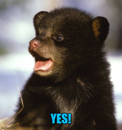 YES! | made w/ Imgflip meme maker