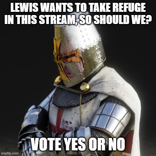 Paladin | LEWIS WANTS TO TAKE REFUGE IN THIS STREAM, SO SHOULD WE? VOTE YES OR NO | image tagged in paladin | made w/ Imgflip meme maker