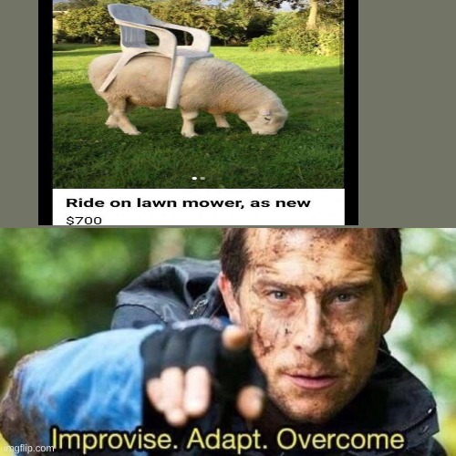 wow. | image tagged in improvise adapt overcome | made w/ Imgflip meme maker