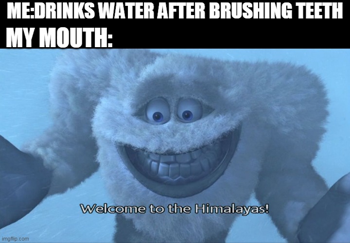 Welcome to the himalayas | ME:DRINKS WATER AFTER BRUSHING TEETH; MY MOUTH: | image tagged in welcome to the himalayas | made w/ Imgflip meme maker