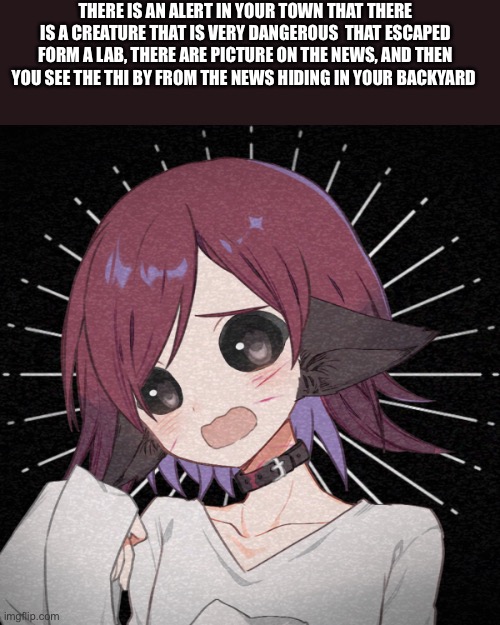 THERE IS AN ALERT IN YOUR TOWN THAT THERE IS A CREATURE THAT IS VERY DANGEROUS  THAT ESCAPED FORM A LAB, THERE ARE PICTURE ON THE NEWS, AND THEN YOU SEE THE THI BY FROM THE NEWS HIDING IN YOUR BACKYARD | made w/ Imgflip meme maker