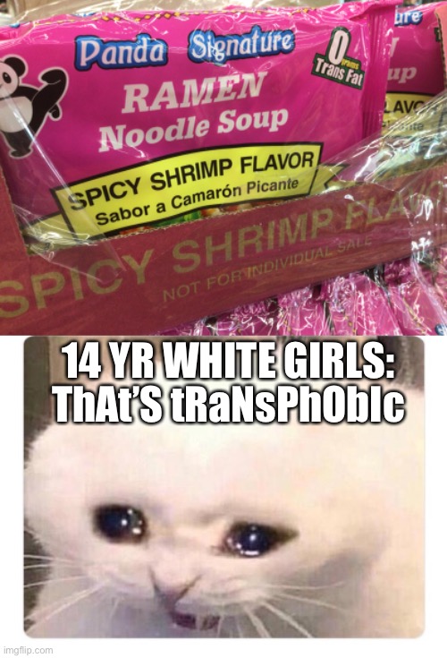 Like chill not everything is transphobic | 14 YR WHITE GIRLS:; ThAt’S tRaNsPhObIc | image tagged in 14 yr old girls,ramen noodle soup | made w/ Imgflip meme maker