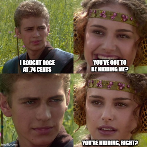 Anakin Padme 4 Panel | I BOUGHT DOGE AT .74 CENTS; YOU'VE GOT TO BE KIDDING ME? YOU'RE KIDDING, RIGHT? | image tagged in anakin padme 4 panel | made w/ Imgflip meme maker