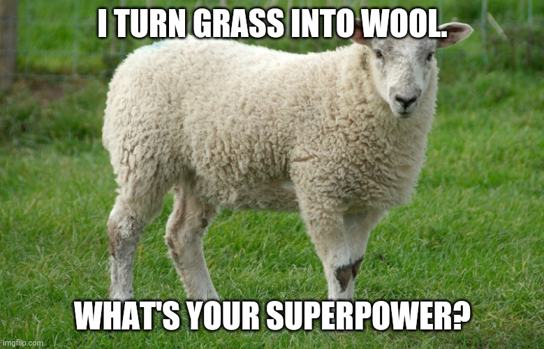 Ewe | I TURN GRASS INTO WOOL. WHAT'S YOUR SUPERPOWER? | image tagged in ewe | made w/ Imgflip meme maker