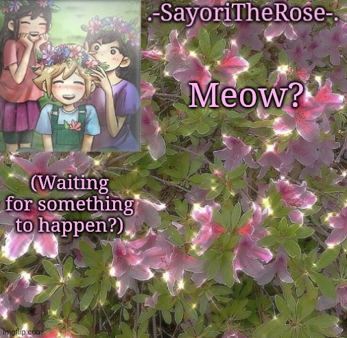 Flowery | Meow? (Waiting for something to happen?) | image tagged in flowery | made w/ Imgflip meme maker