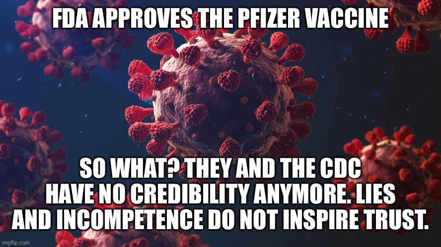 Many FDA approved drugs have been pulled after approval for severe reactions |  FDA APPROVES THE PFIZER VACCINE; SO WHAT? THEY AND THE CDC HAVE NO CREDIBILITY ANYMORE. LIES AND INCOMPETENCE DO NOT INSPIRE TRUST. | image tagged in fda approves pfizer covid vaccine,no credibility,no trust,political approval,leftist games | made w/ Imgflip meme maker