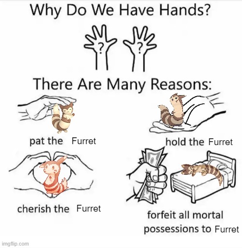 furret | Furret; Furret; Furret; Furret | image tagged in why do we have hands all blank | made w/ Imgflip meme maker