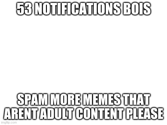NO ADULT CONTENT PLEASE | 53 NOTIFICATIONS BOIS; SPAM MORE MEMES THAT ARENT ADULT CONTENT PLEASE | image tagged in blank white template | made w/ Imgflip meme maker