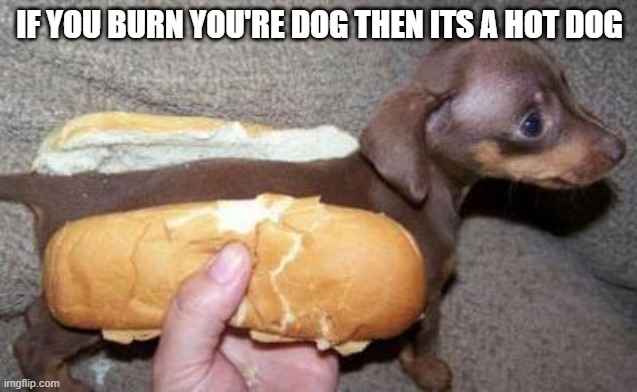 asian hot dog | IF YOU BURN YOU'RE DOG THEN ITS A HOT DOG | image tagged in asian hot dog | made w/ Imgflip meme maker