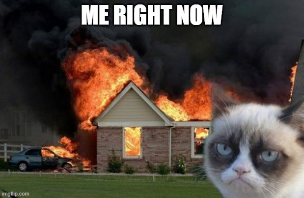 When it rains for weeks and it's still burning 24/7 | ME RIGHT NOW | image tagged in memes,burn kitty,grumpy cat | made w/ Imgflip meme maker