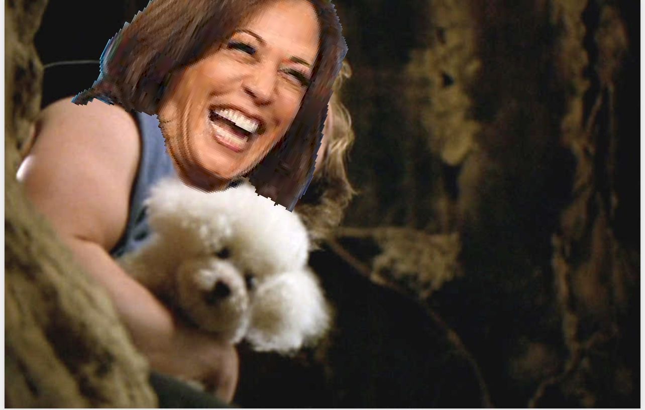 Kamala makes offer Blank Meme Template