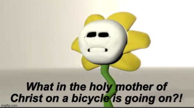 ARE THERE ANY OWNERS AWAKE | image tagged in flowey | made w/ Imgflip meme maker