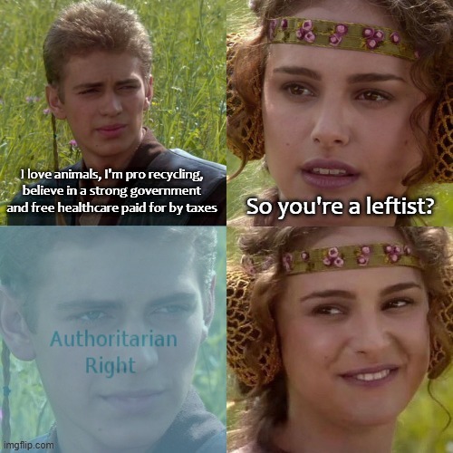 It's not really 'free' healthcare but you get the idea | I love animals, I'm pro recycling, believe in a strong government and free healthcare paid for by taxes; So you're a leftist? | image tagged in fascism,right wing,left wing,anakin padme 4 panel,socialism | made w/ Imgflip meme maker