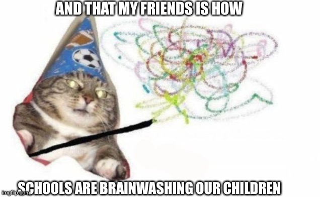 Woosh cat |  AND THAT MY FRIENDS IS HOW; SCHOOLS ARE BRAINWASHING OUR CHILDREN | image tagged in woosh cat | made w/ Imgflip meme maker