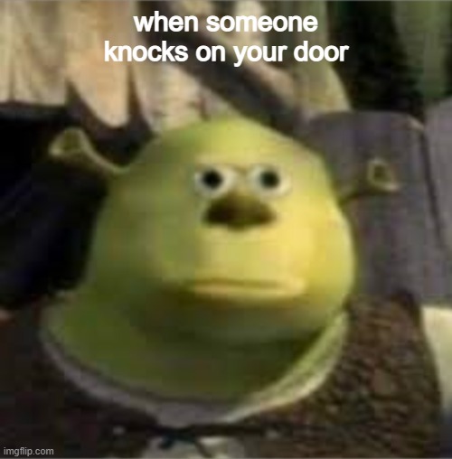 shrek | when someone knocks on your door | image tagged in what | made w/ Imgflip meme maker