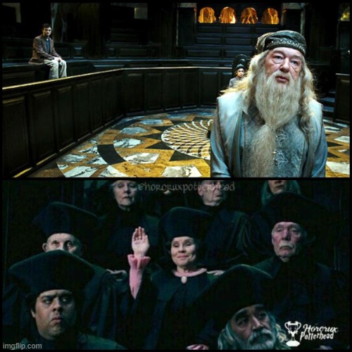 meme - audiencia de Harry Potter 5 | image tagged in meme harry potter 5,harry potter 5 audience,harry potter audience,audiencia harry potter 5,audiencia harry potter | made w/ Imgflip meme maker