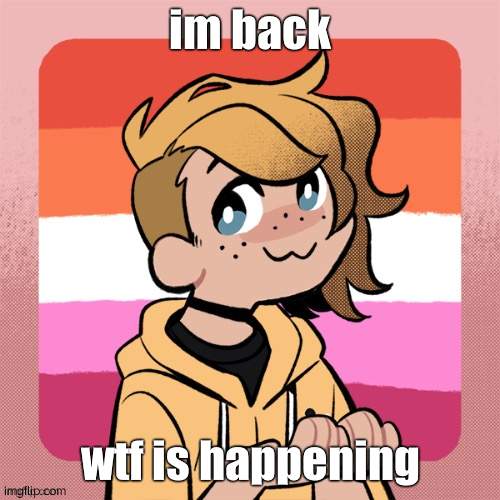 im back; wtf is happening | image tagged in hey look it s bean | made w/ Imgflip meme maker